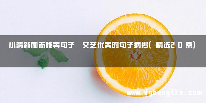 小清新励志唯美句子 文艺优美的句子摘抄（精选20条）